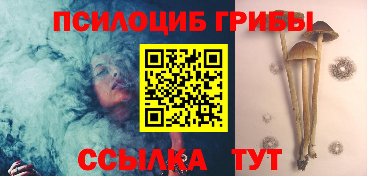 наркотики  Галлюциногенные грибы MAGIC MUSHROOMS  Вход с VPN  Дмитров 