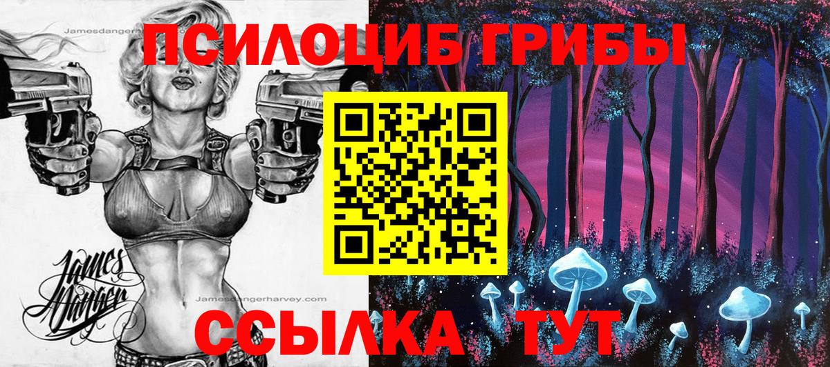 Галлюциногенные грибы мухоморы Дмитров